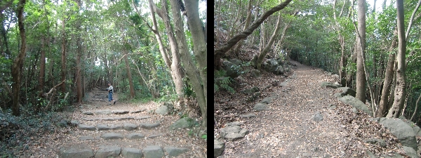 石岳展望台の坂道.jpg